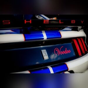 Selby Voodoo Art Photography Print - Blue and Red